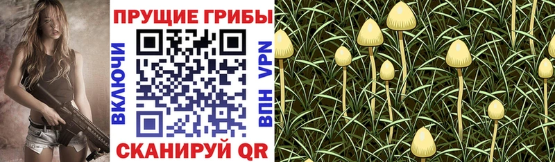 Галлюциногенные грибы Magic Shrooms Чекалин