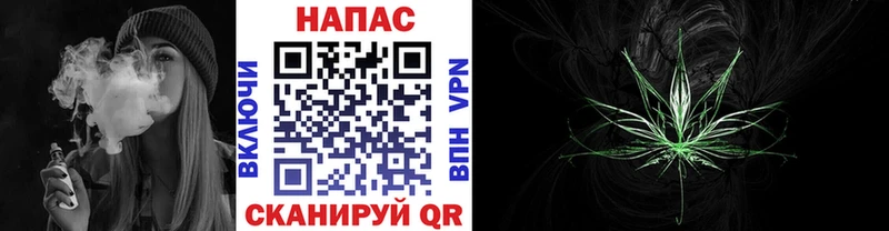 Канабис планчик Чекалин
